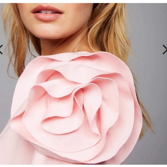 A Pea in the Pod X Pietro Brunelli maternity dress - Picture 3 of 8